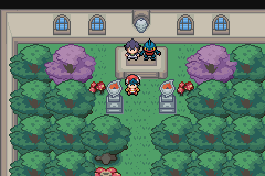 pokemon light platinum español lider soka
